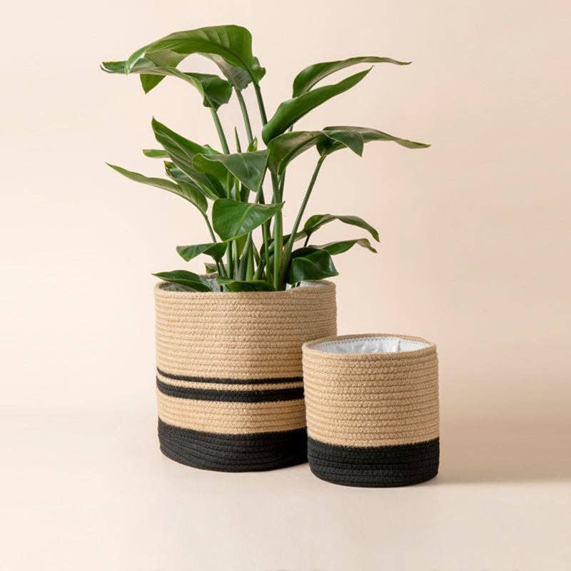 La Jolie Muse - Cozy Yellow & Black Pots - Large
