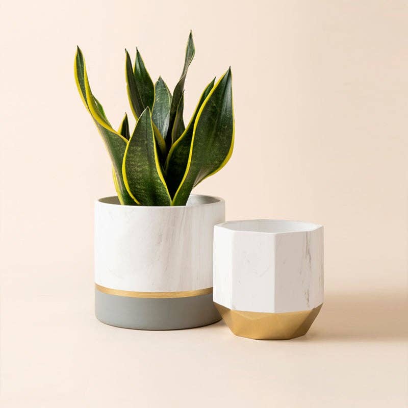 La Jolie Muse - Aden Gold With Marble Pots - Small