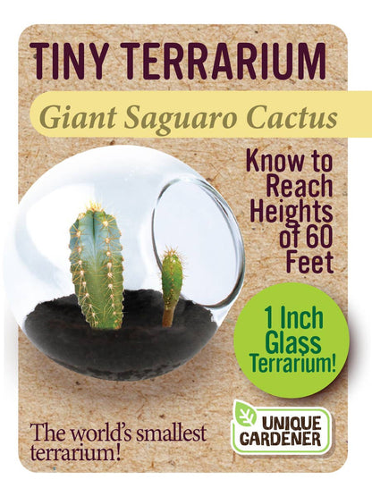 SIlver Circle Products - Tiny Terrarium Cactus Counter Display with 6 Varieties