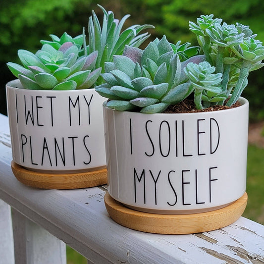 Vulpine Vinyls - 2 Pack Succulent Planters I Soiled Myself & I Wet My Plants