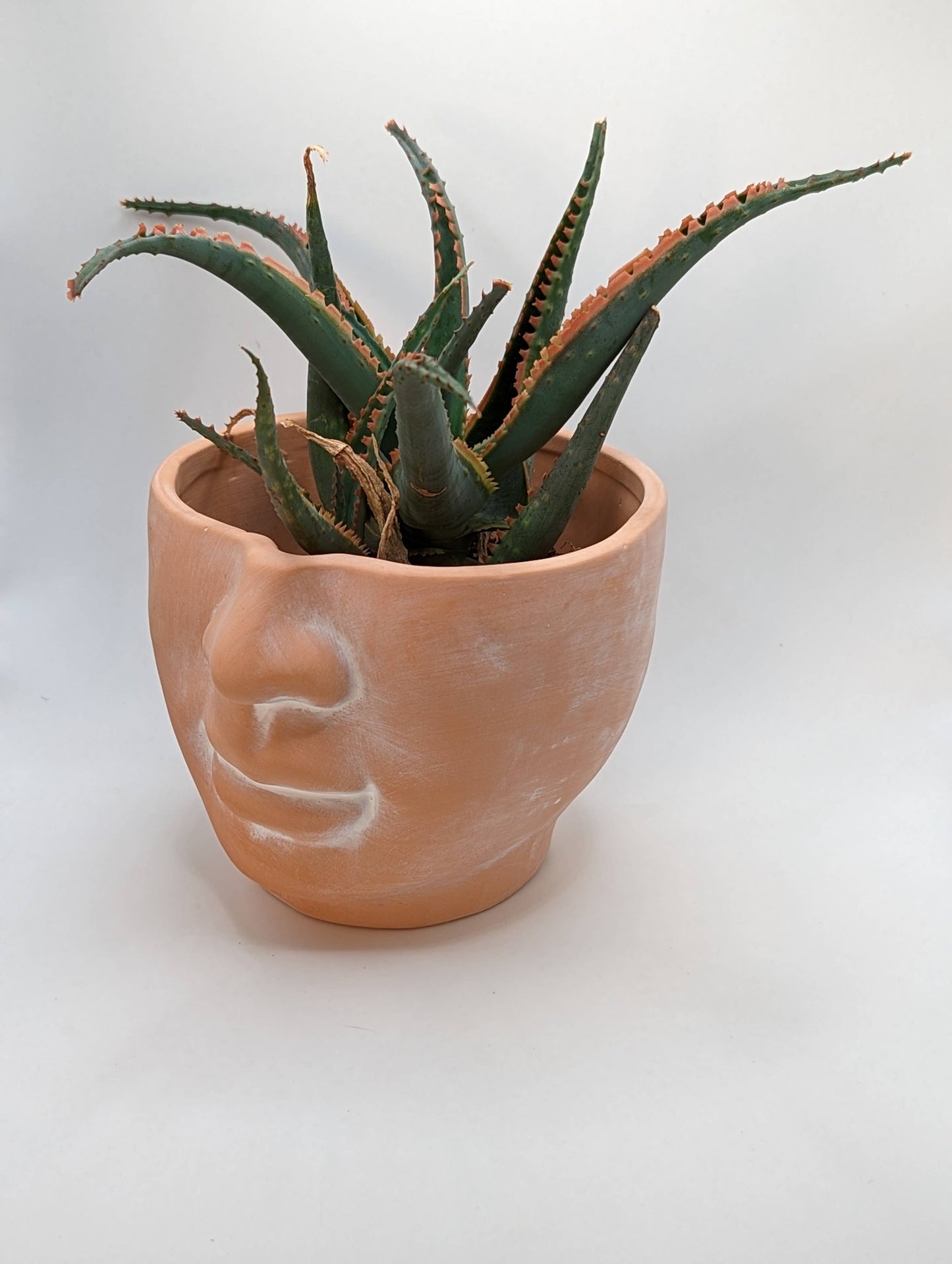 Simply Supplied Co - FACE Modern Terracotta Clay Pot with Drainage- Head