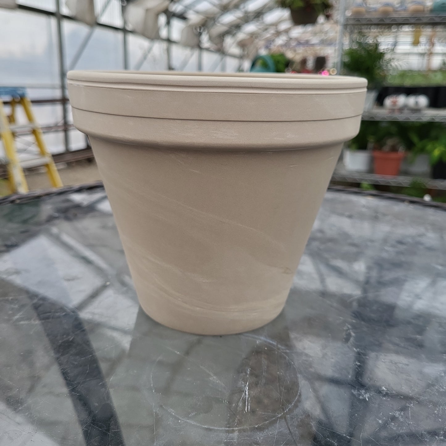 6 in geanite pot