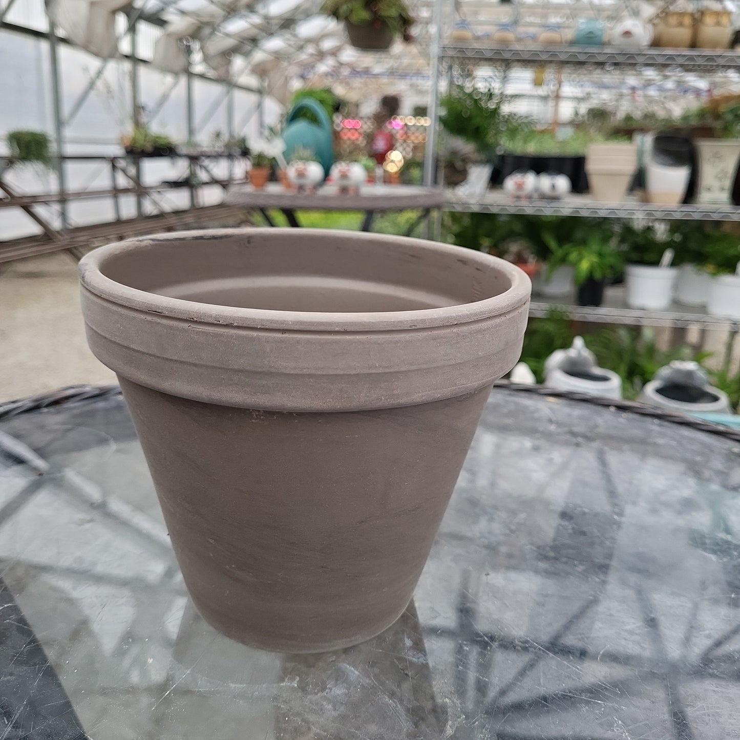 6 inch pot