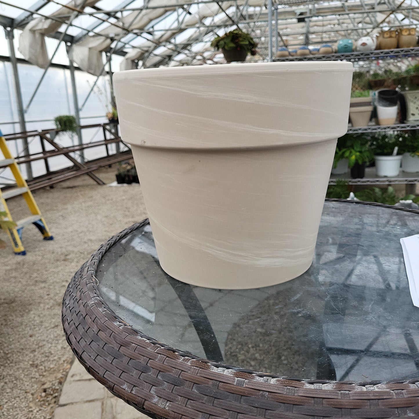 12 inch pot