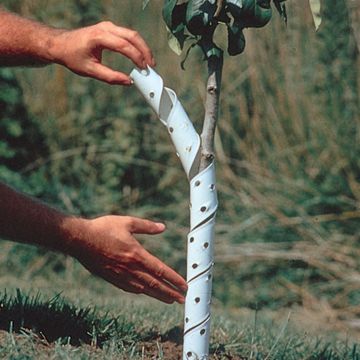 Vinyl Spiral Tree Guard