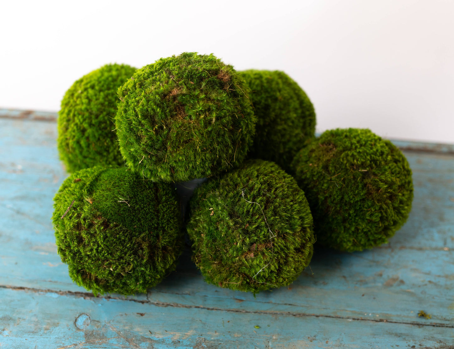 Forever Green Art - 4'' Small Moss Ball