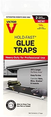 Victor Rat and Snake Glue Traps