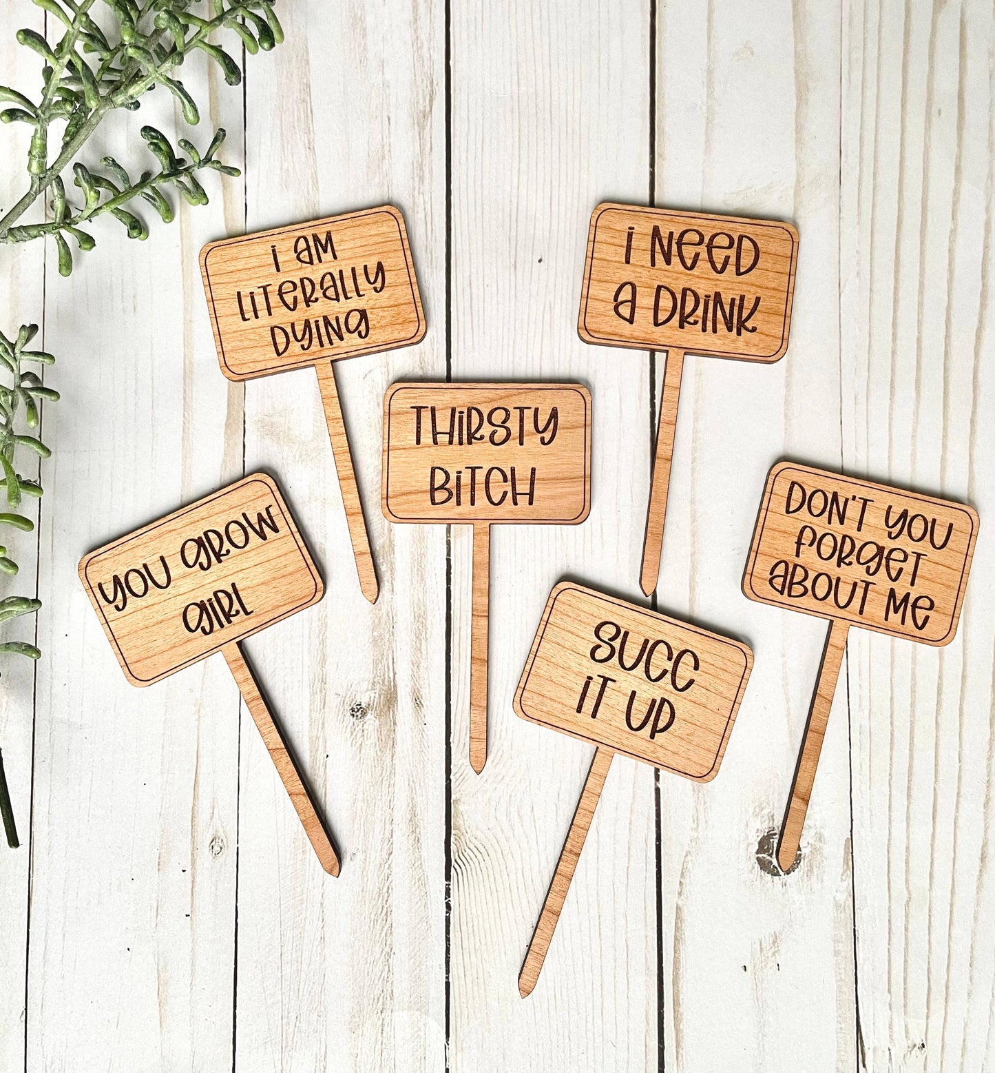 Dogwood and Dust - Funny Plant Signs