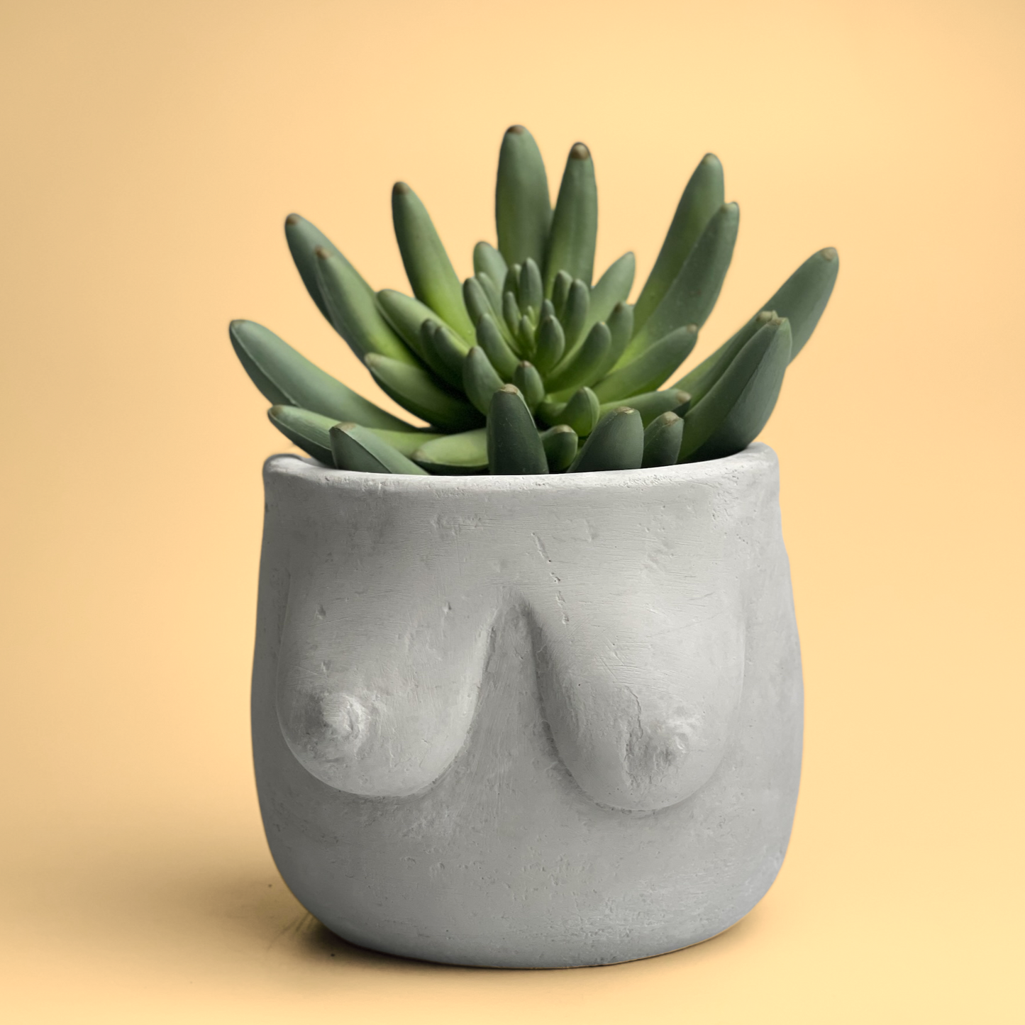 AURA 8 Art Boutique - Boobs Planter, Woman Body Pot, Female Torso Decor, Breast