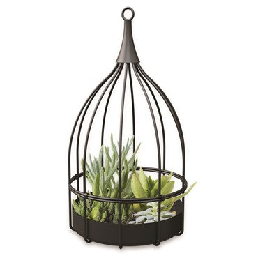 Panacea™ Metal Bird Cage Succulent Planter