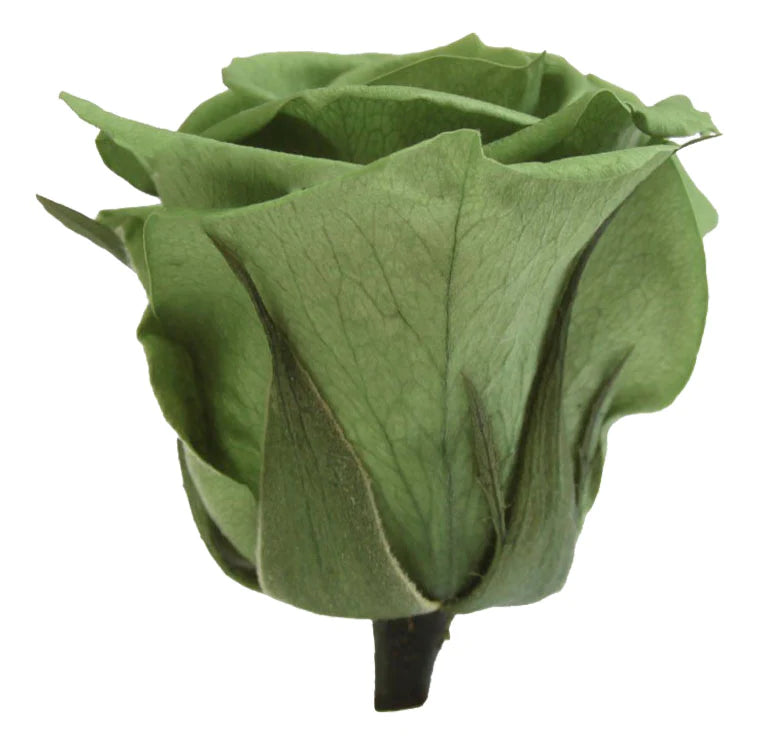 Verdissimo Rose- Moss Green