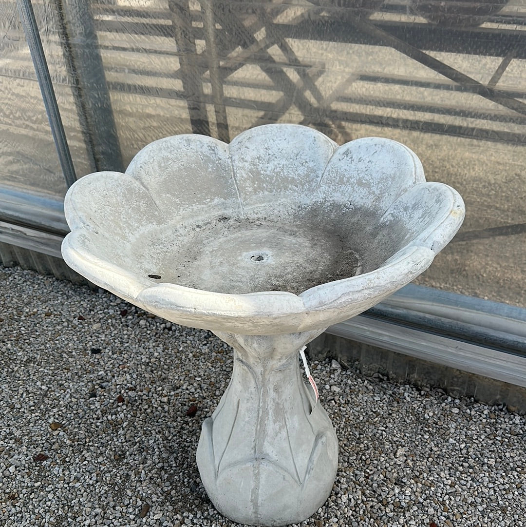 Flower top birdbath