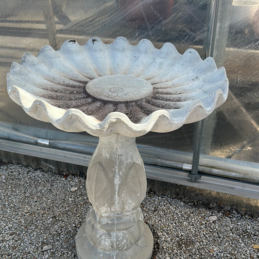 Seashell top birdbath